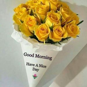 Meet your Posher, Mia